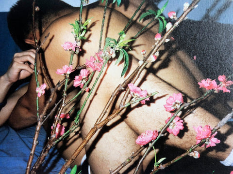 Flowers and Fruits
