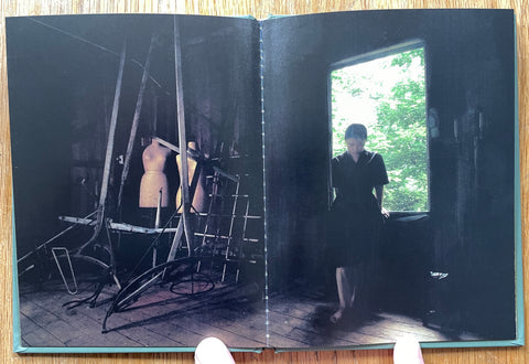 Ex Post Facto (One Picture Book)