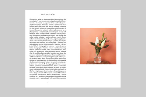 Latent Bloom