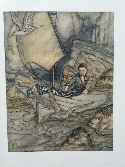 The Springtide of Life - Setanta Books