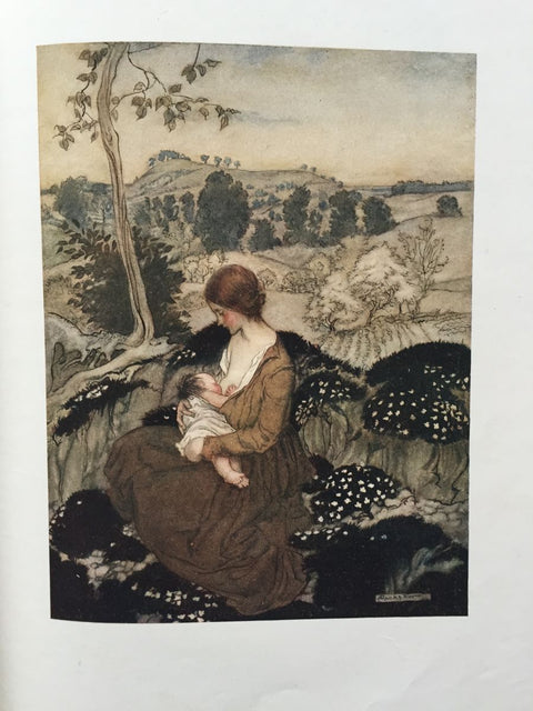 The Springtide of Life - Setanta Books