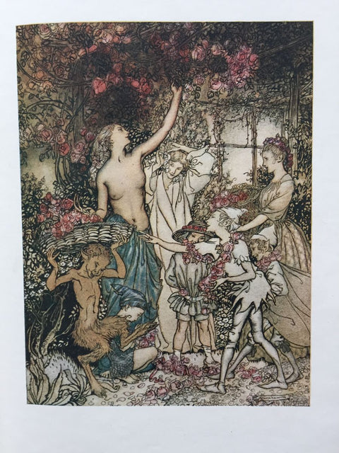 The Springtide of Life - Setanta Books