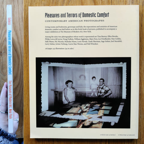 Pleasures and Terrors of Domestic Comfort