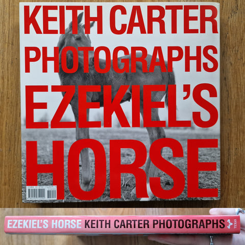 Ezekiel's Horse