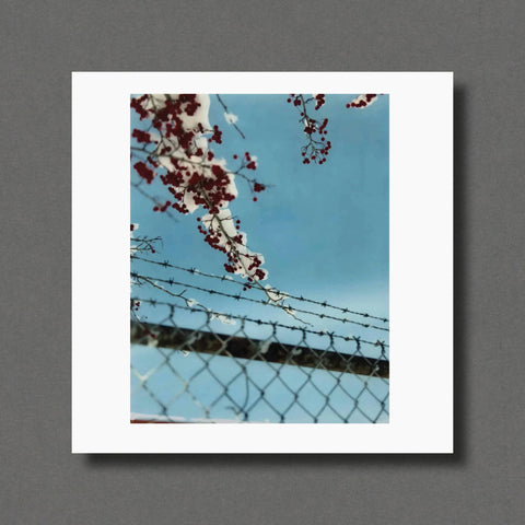 Gregory Halpern Magnum Square Prints