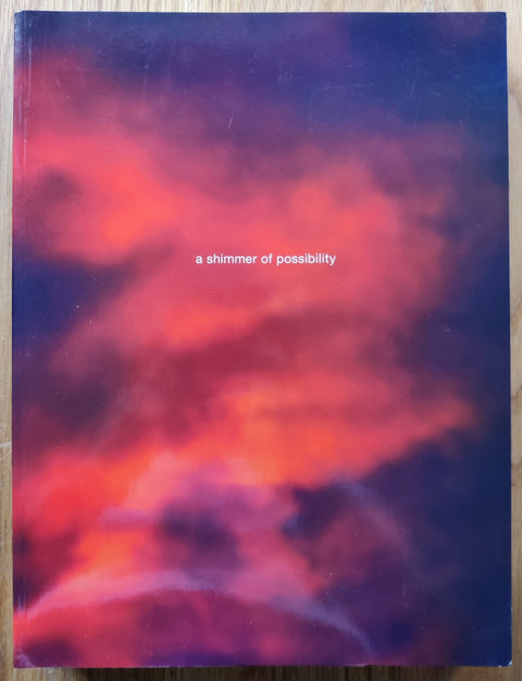A Shimmer of Possibility - Setanta Books