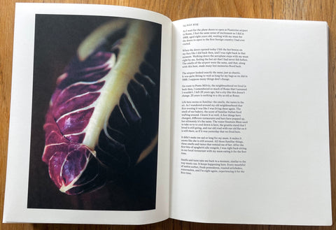 A Stranger in My Mother's Kitchen - Setanta Books