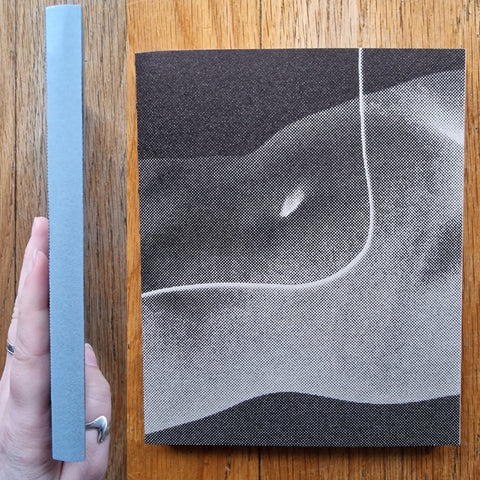 Absentee - Setanta Books