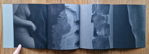Absentee - Setanta Books