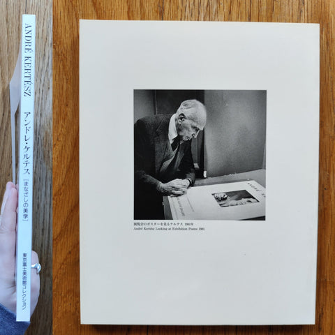 Aesthetics of a Look 1894-1985: Budapest, Paris, New York - Setanta Books