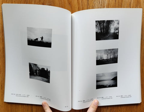 Aesthetics of a Look 1894-1985: Budapest, Paris, New York - Setanta Books
