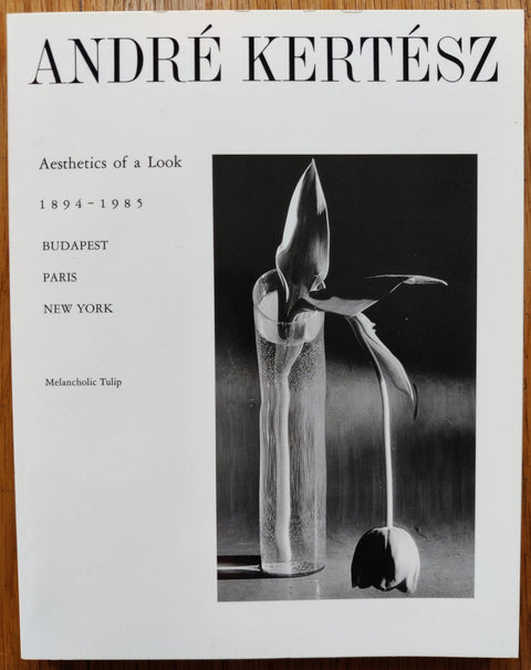 Aesthetics of a Look 1894-1985: Budapest, Paris, New York - Setanta Books