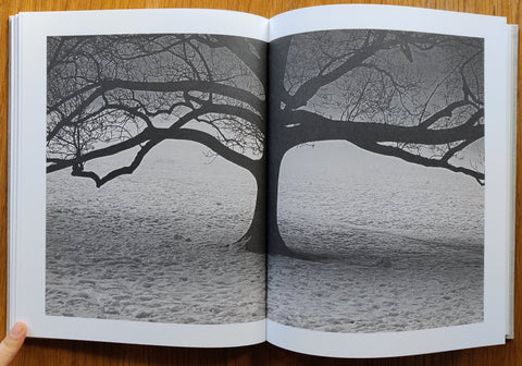 After Beauty - Setanta Books