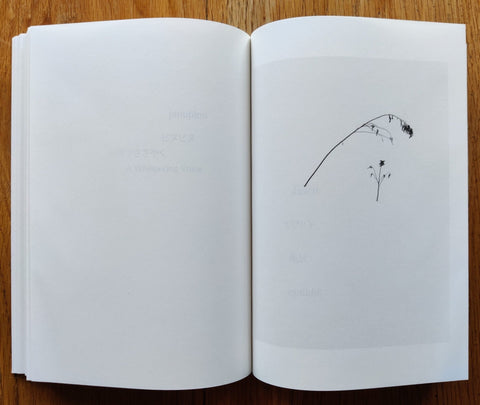 After the Snowstorm - Setanta Books