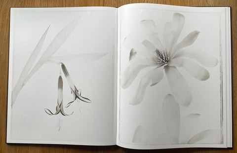 Alba Nero - Setanta Books