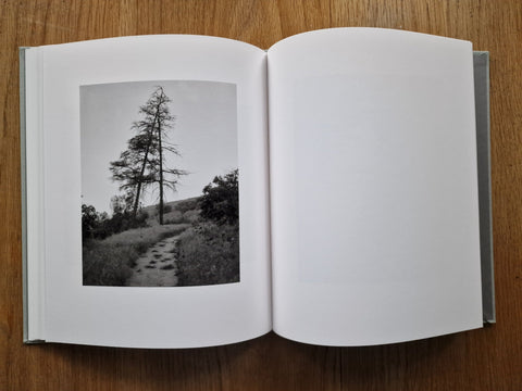 Angels Point - Setanta Books
