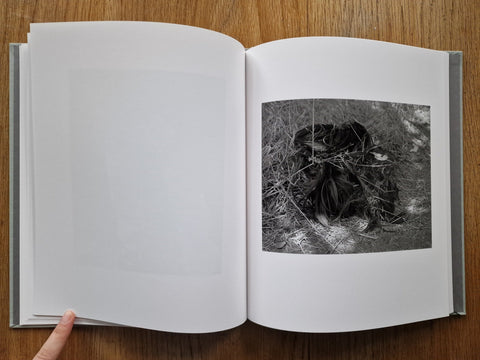 Angels Point - Setanta Books