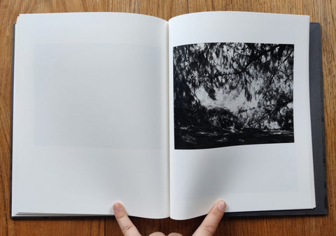 Arboreal - Setanta Books