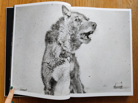 Arctic Heroes - Setanta Books
