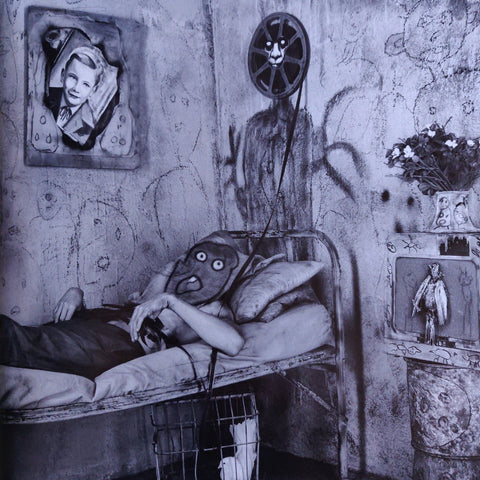 Asylum of the Birds