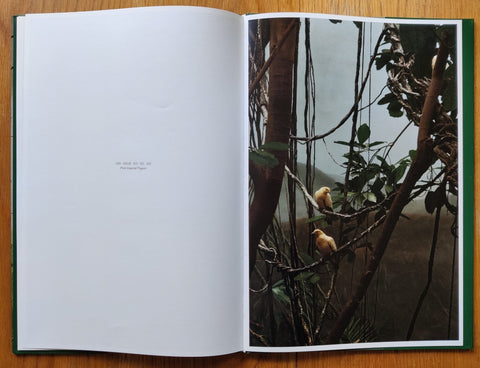 AVES MEI - Setanta Books