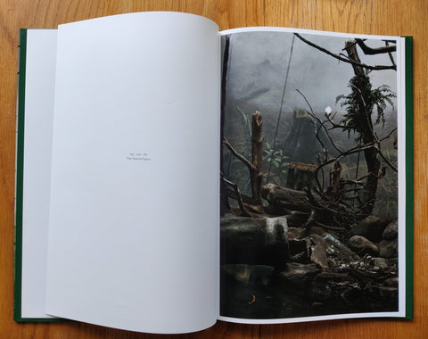 AVES MEI - Setanta Books