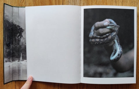 Aya - Setanta Books