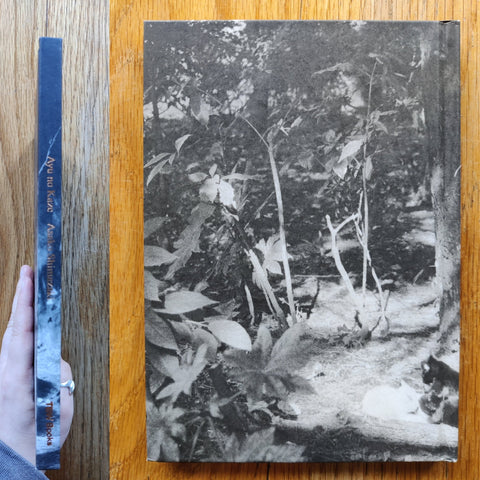 Ayu no Kaze - Setanta Books