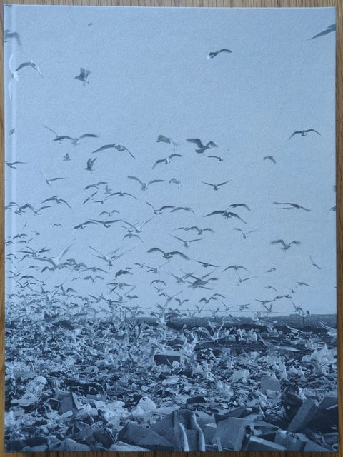 The photography book cover of Benny Profane by Ken Grant. Hardback in B&W with cover image of hundreds of flying birds.