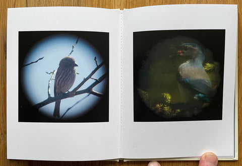 Birds Have Wings (One Picture Book) - Setanta Books