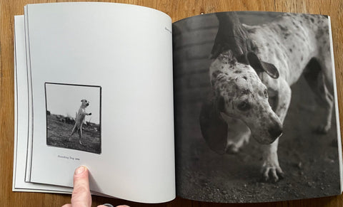 Bones - Setanta Books