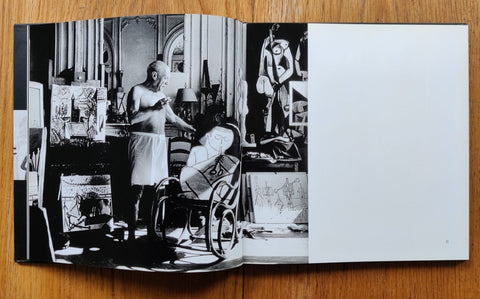Bonjour Picasso - Setanta Books