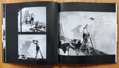 Bonjour Picasso - Setanta Books