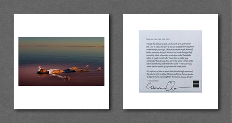 Carolyn Drake Magnum Square Prints