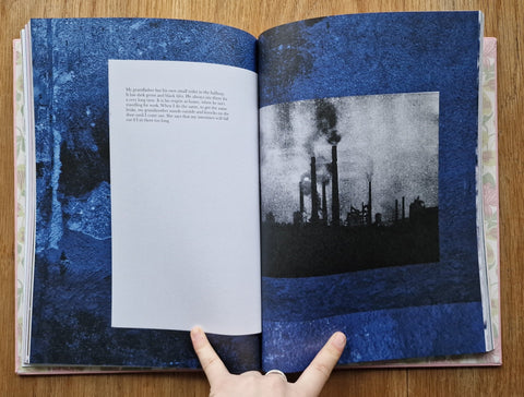 Bristningar - Setanta Books