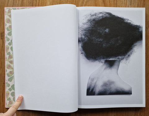 Bristningar - Setanta Books