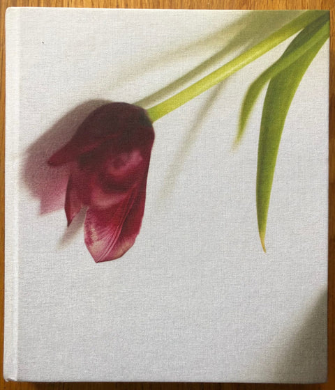 Tulip