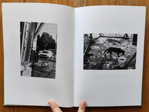 Cotton - Setanta Books