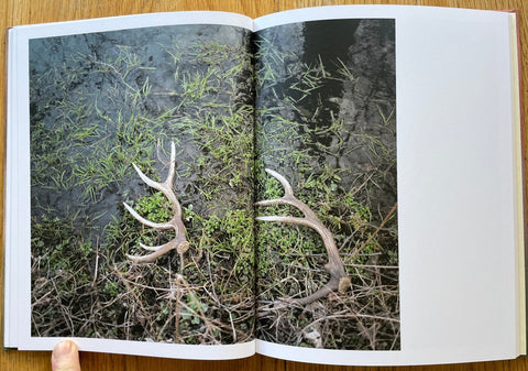 Cut it Short - Setanta Books