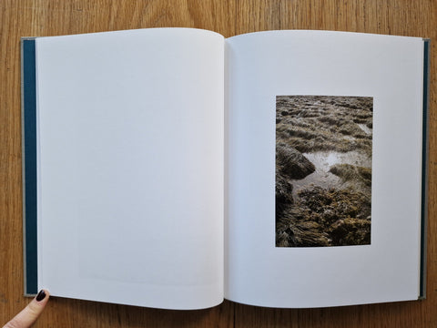Daily, in a Nimble Sea - Setanta Books
