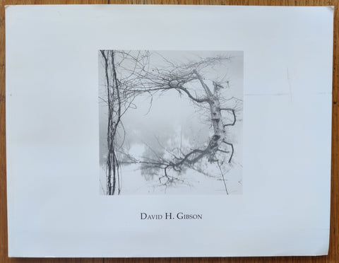 David H. Gibson - Setanta Books