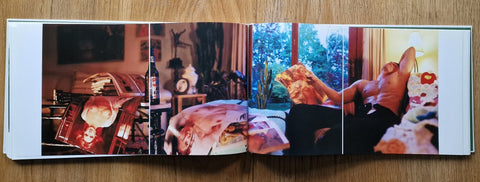 David Hilliard: Photographs - Setanta Books