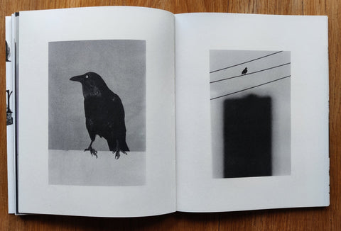 Death is not here - Setanta Books