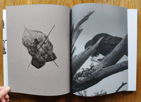 Death is not here - Setanta Books