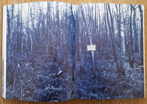 Depravity’s Rainbow - Setanta Books