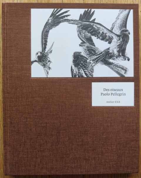 Des Oiseaux - Setanta Books