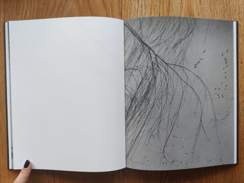 Des Oiseaux - Setanta Books