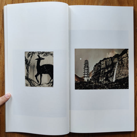 Developer Paintings - Setanta Books