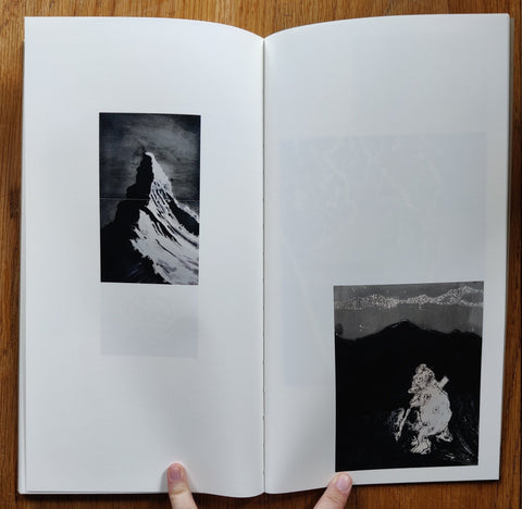 Developer Paintings - Setanta Books