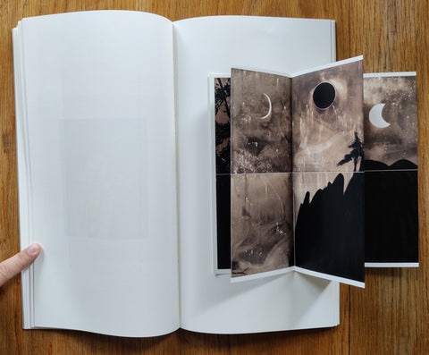 Developer Paintings - Setanta Books